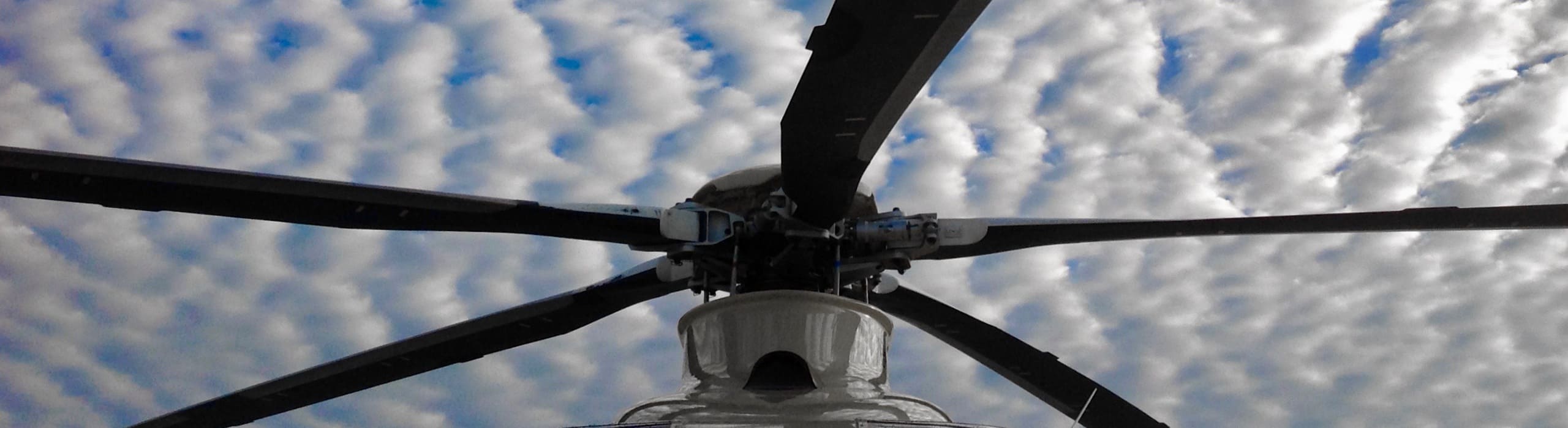 Rotor of a helicopter